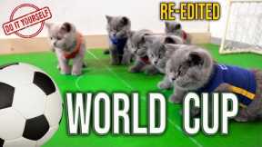 Cats Love Soccer ⚽️🏆 World Cup Cats REDUX 😂 Cute British Shorthair Kittens Playing Funny Football