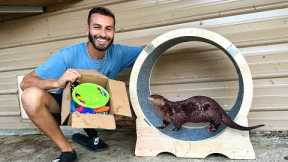 PET BABY OTTERS GOT NEW TOYS FOR ENCLOSURE!