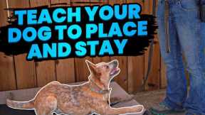 Effortlessly Teach Your Dog Place and Stay with These Simple Techniques