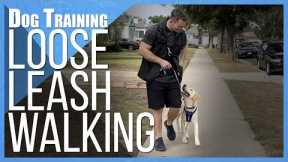 Say Goodbye to Leash Pulling: How to Train Any Dog to Walk Nicely