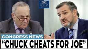 'THIS IS A MISTAKE' Ted Cruz SHREDS Chuck Schumer in HEATED exchange after STUPID easy V0TING plan
