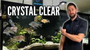 How to Keep Crystal Clear Aquarium Water