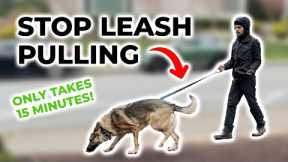 How to STOP LEASH PULLING in 15 Minutes (GUARANTEED RESULTS)