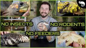 Top 5 Feeder-Free Reptiles