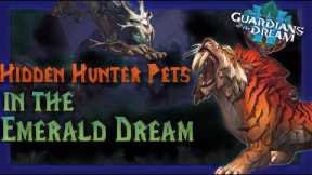 Discover the HIDDEN Hunter Pets in 10.2!