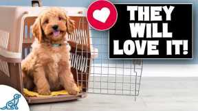 Get Your Puppy Comfortable With Their Crate