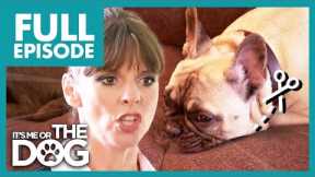 Owner Wants To Cut Her Noisy Dog's Vocal Chords😭🔉 | Full Episode | It's Me or The Dog