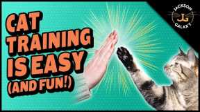 Clicker Training Your Cat is Easy and Fun!