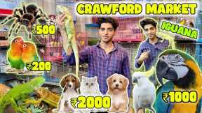 Mumbai Cheapest Pet Market 2023| Exotic Pets in Cheap Price | All Types of Pet Available.