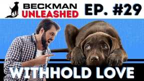 Many People Touch Their Dog Too Much, Why is this BAD? Joel Gets a Death Threat. Ep.29