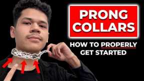 Watch This Video BEFORE Using a Prong Collar
