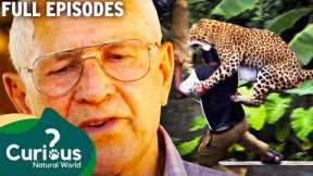 REAL Wild Attack Situations From Exotic Pet Keepers | Full Episodes | Curious?: Natural World