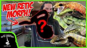 THE COOLEST REPTILE SHOP IN MALAYSIA! (New never seen before REPTILE MORPHS!)
