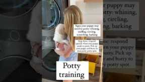 How to Potty Train your Puppy!