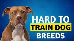 7 Hard To Train Dog Breeds in the world 🌍
