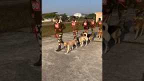Dog exercise video #dog #training #viral #cisf #ytshorts
