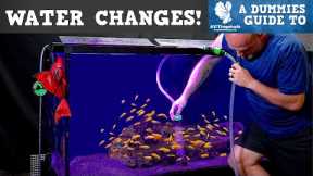 Why, How Much and How Often Should You Do Water Changes In An Aquarium?