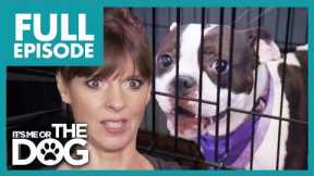 Loudest Dogs Ever are Kept in Cages ALL DAY!😢 | Full Episode | It's Me or The Dog