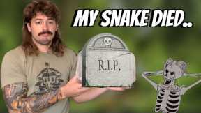 One of my favorite snakes died..
