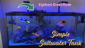 Simple Saltwater Aquariums