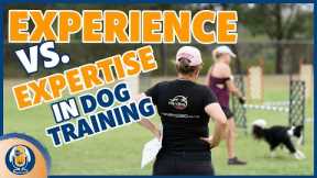 Redefining Expertise In Dog Training And What Counts More Than Years Of Experience #247 #podcast