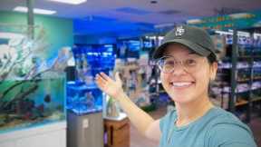 South Florida's Most DIVERSE Aquarium Store (fish store tour)
