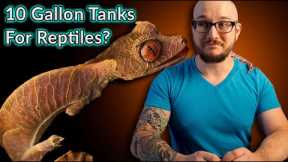 Top 5 Reptiles That Can Live In A Ten Gallon Enclosure FOREVER