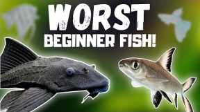 Top 7 WORST Beginner Fish! (BEWARE)