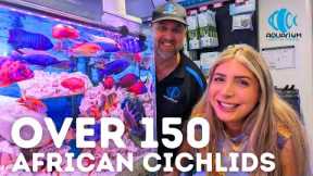 The LARGEST Supplier of African Cichlids! (Aquarium Central Tour)