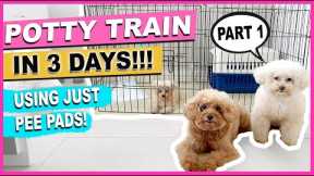 HOW TO POTTY TRAIN YOUR NEW PUPPY QUICKLY  Part 1: The Complete Process| The Poodle Mom