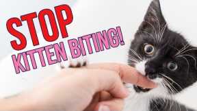 How to STOP Kittens From Biting You (6 Tips!)