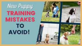 Top Puppy Training Mistakes to Avoid