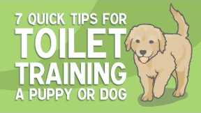 7 Quick Tips for TOILET TRAINING a Puppy or Dog