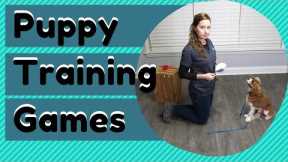 Puppy Training Games