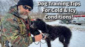 Dog Training Tips For Cold & Icy Winter Weather