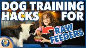 The Raw Feeding Guide To Training Your Dog With All Forms Of Treats #252 #podcast