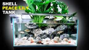 Peace Lily Shallow Shell Dwelling Fish Aquarium (Aquascape Tutorial)