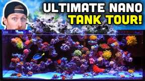 INCREDIBLE Desktop Nano Tank Tour with UNIQUE Aquascape!