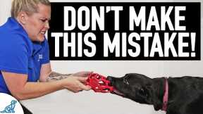 The BIG Mistake People Make When Teaching A Dog To Drop Something