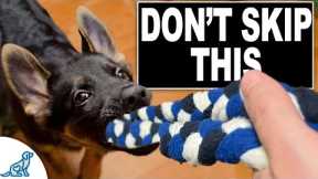 3 Skills EVERY Puppy NEEDS To Learn Now!