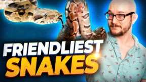 The 5 Friendliest Pet Snakes You Can Own! | Meet My New and Rare Snake!