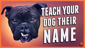 How to Teach Your Dog Their Name (Even Change a New Dog’s Name!)