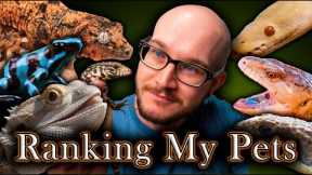 My Worst Pets? Ranking All My Pets | Reptile Tier List