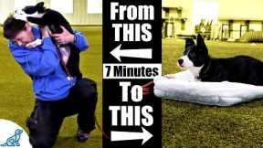 Teach Your Puppy To Calm Down With This 7 Minute Exercise