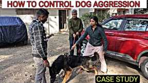 Aggressive Dog Case Study : Learn how to manage Dog Aggression with simple methods (Hindi)