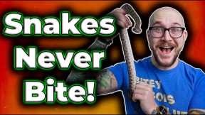 These Pet Snakes WIll NEVER Bite You!