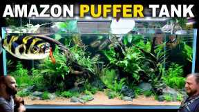 The Amazon Puffer Aquarium: 4ft Planted Tank Aquascape Tutorial
