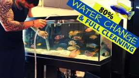 Aquarium Water Change - Sand Vac and Full Tank Cleaning (80% Water Change)
