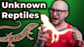 32 REPTILES I GUARANTEE YOU HAVE NEVER HEARD OF!