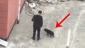 The couple found dog mother and puppies on opposite rooftop from their window, no food or water.....